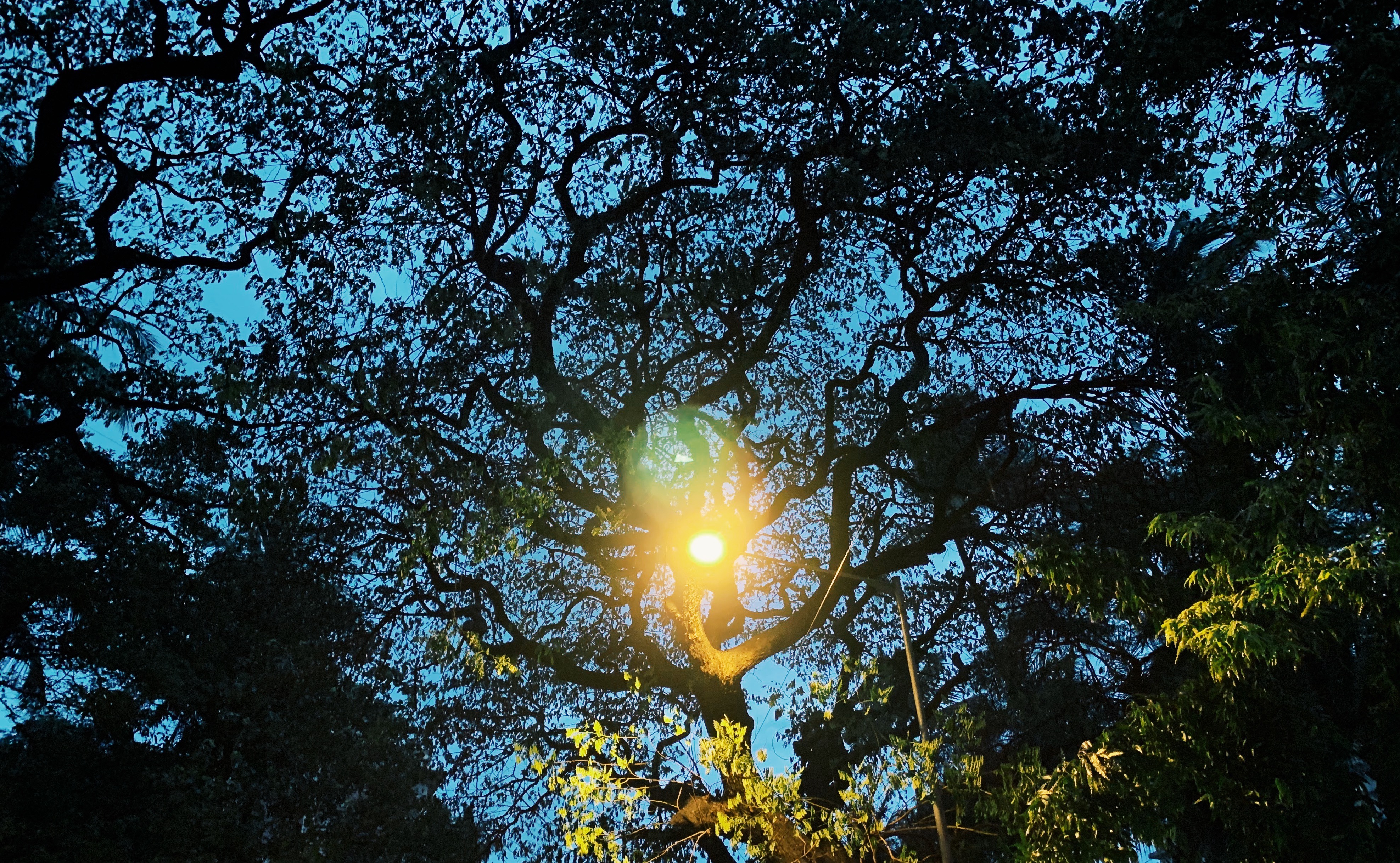 [256] Divine Envy