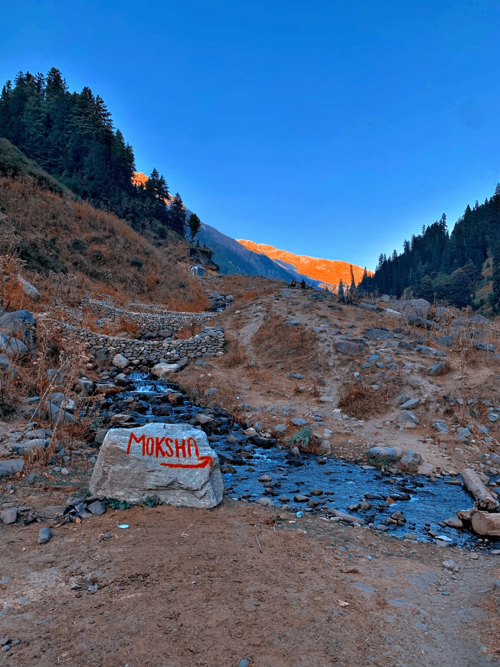 [360] The Last Days of&nbsp;Night