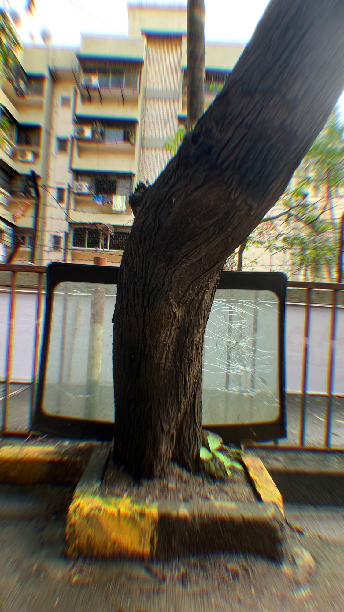 [555] When Nature Speaks